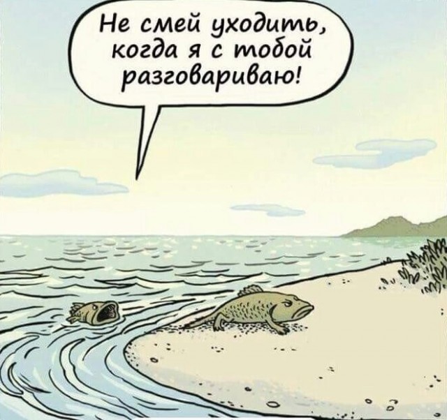 Рыбов, показываю. Красивое