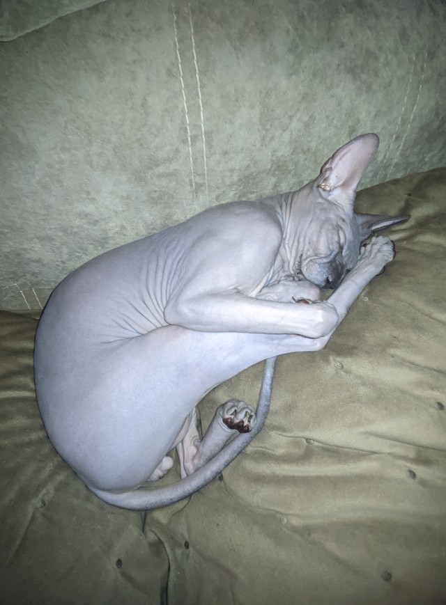Вторник. Котэ. Пора