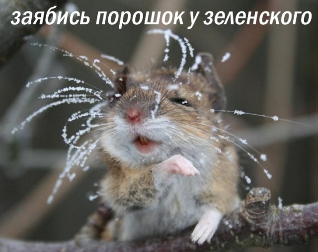 Зеленский - «…Очевидно, что состояние неадекватное…»