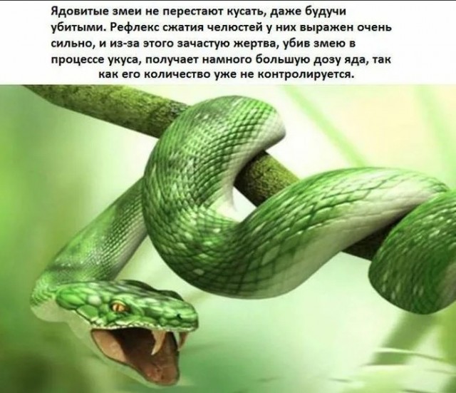 70 удивительных фактов