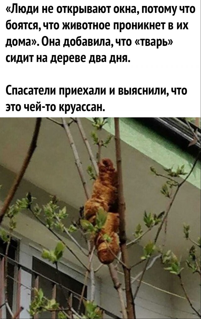 Так себе картинки 28.04.22