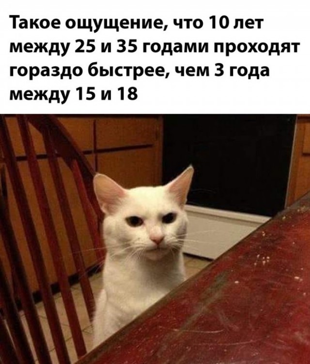 Картинки и мемы для настроения - 14