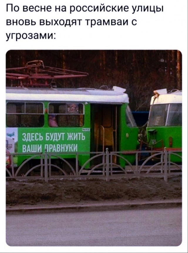 Весёлый полтишок 24.05.22