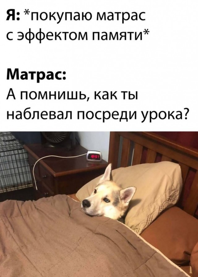 Юмор и приколы из социальных сетей