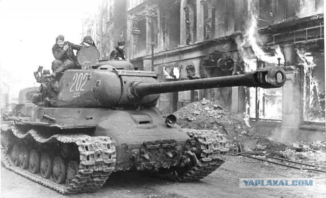 Редчайший танк ИС-2М с ломанным носом: заброшенная на Сахалине рота танковых огневых точек ИС-2 "Стародубское"