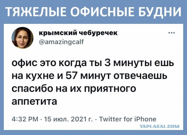 Так себе картинки 24.06.22