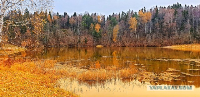 Просто любительские фото