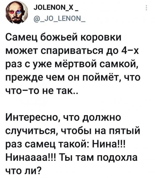 Средненедельная деградация
