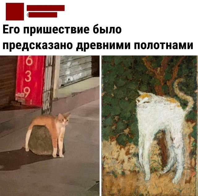 Так себе картинки 30.07.22