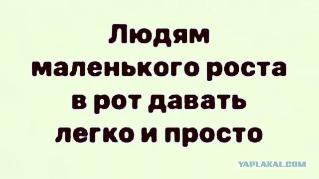 Чуток картинок 04.08.22
