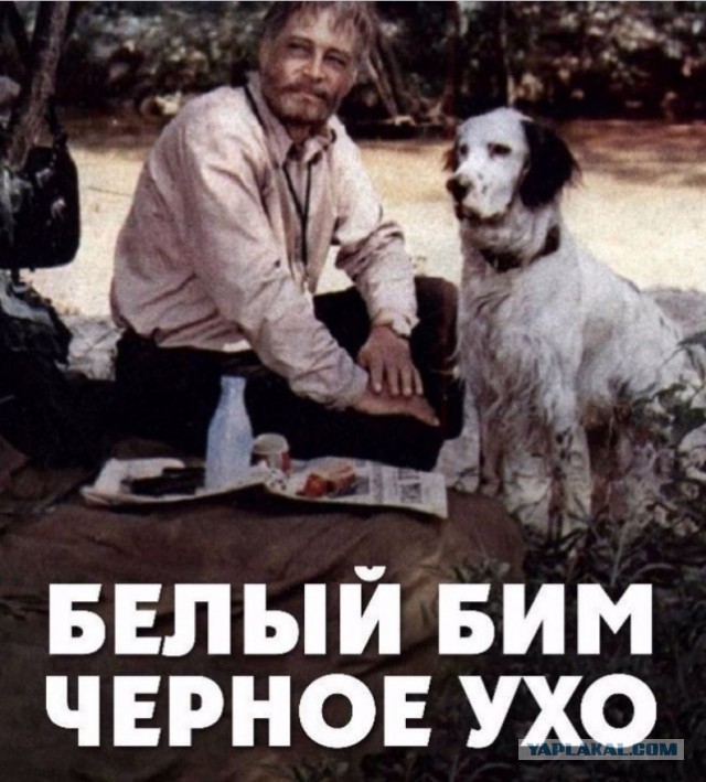 Кино, перевернувшее детское сознание.