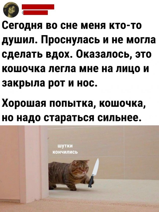 Так себе картинки 03.11.22