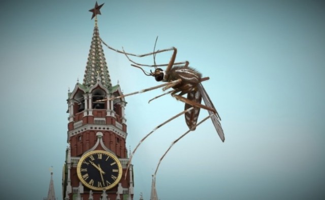 Этого 12-сантиметрового гельминта вытащили из щеки жительницы Люберец
