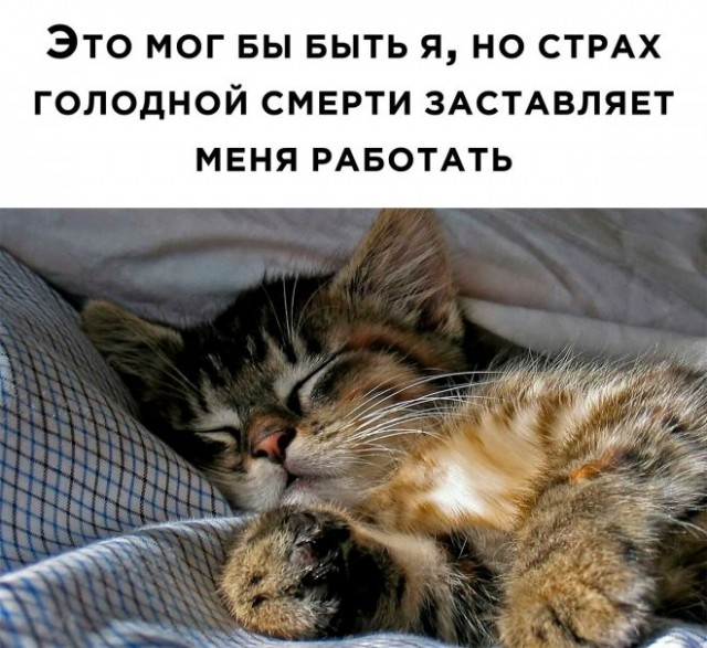 Картинки и мемы, всем хороших выходных