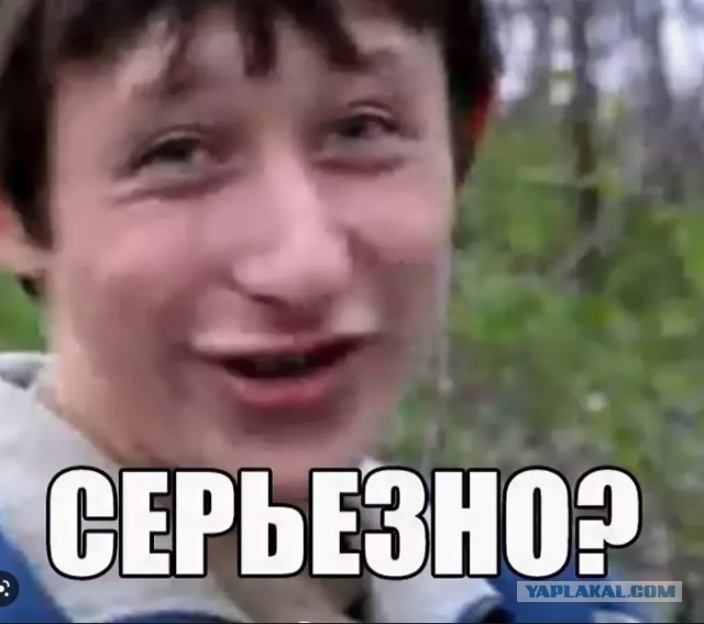 Знакомьтесь, это Паша.