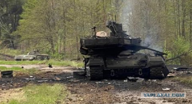 Первые леопарды прибыли