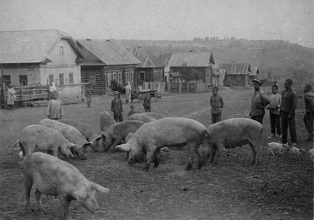 Работа и быт в предвоенной деревне в черно-белых фотографиях