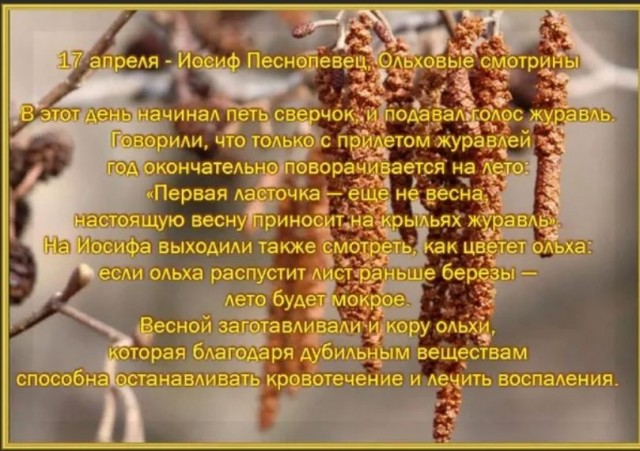 Победная поступь идиотизма по планете – том 12