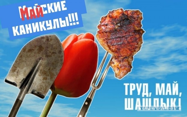 В регионах РФ отменяются первомайские митинги и шествия