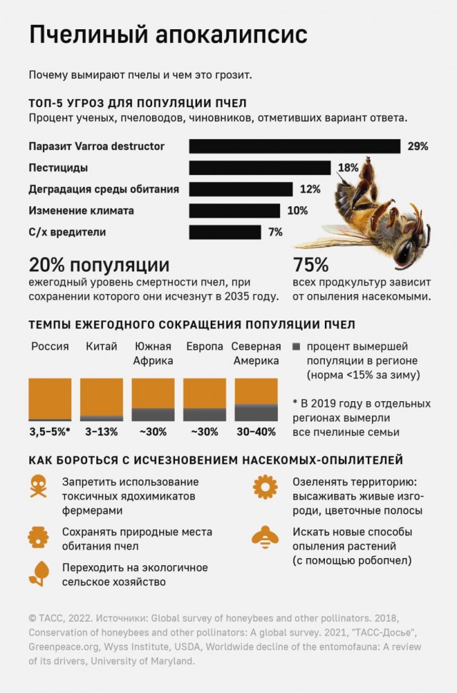 Победная поступь идиотизма по планете – том 15