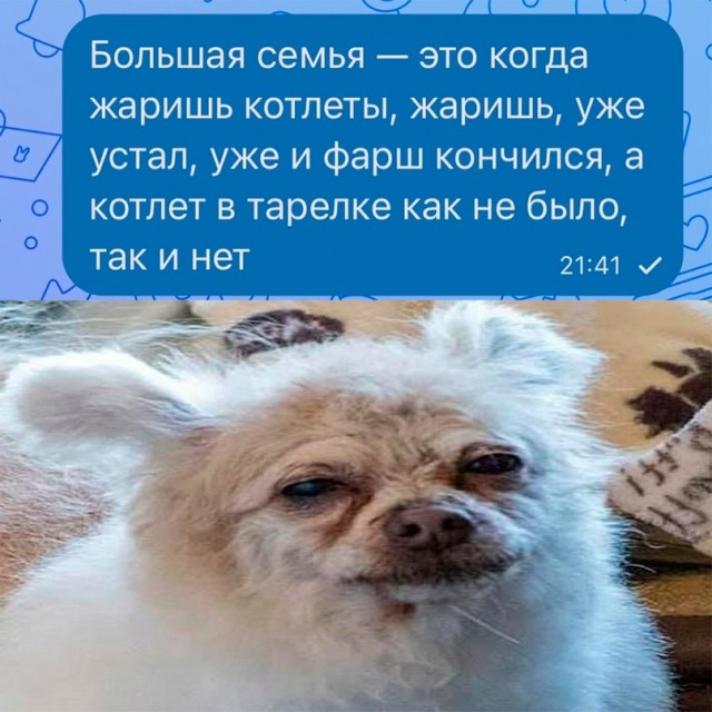 Весёлый полтишок 21.05.23