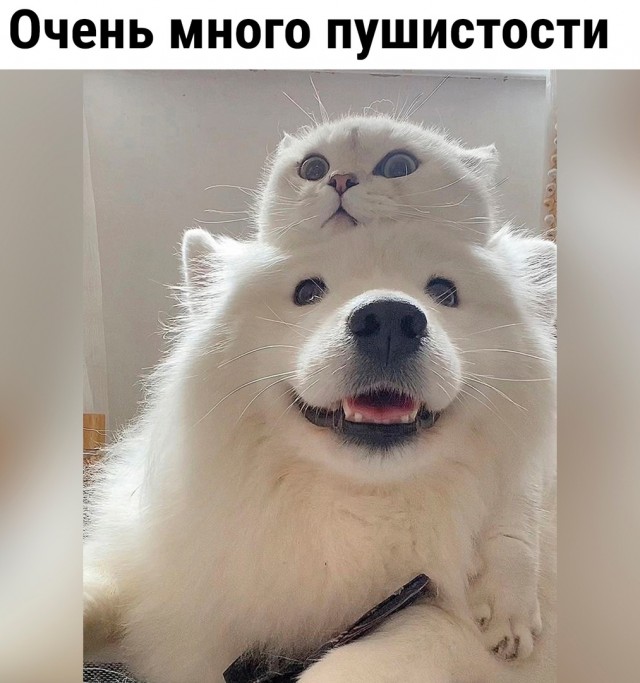Так себе картинки 23.06.23