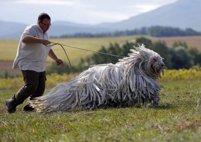 Подборка интересных и веселых картинок