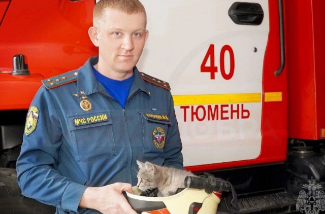 Котёнок Сеня устроился на работу в пожарную часть Тюмени