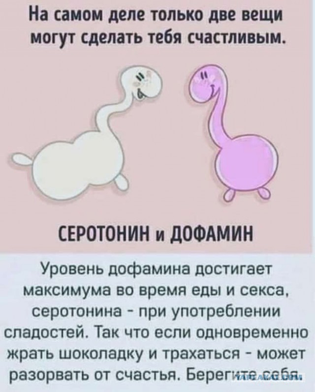 У кого какой вариант, когда всё за*бывает?