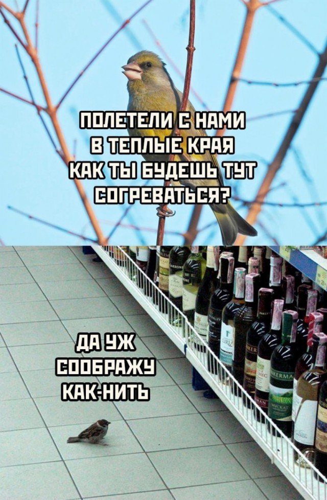 Немного картинок и прочей хреноты Vol. 28