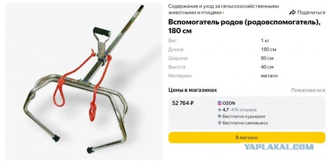Веселая ферма. Как зимуют животные и птицы