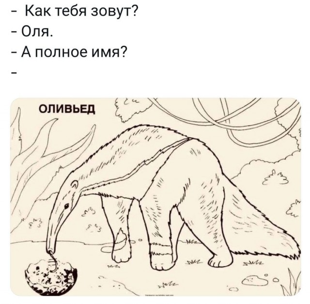 Картинок подвезли