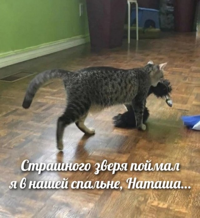 Всего понемногу. От 26.01.24