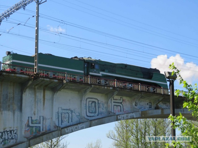 Старая гвардия
