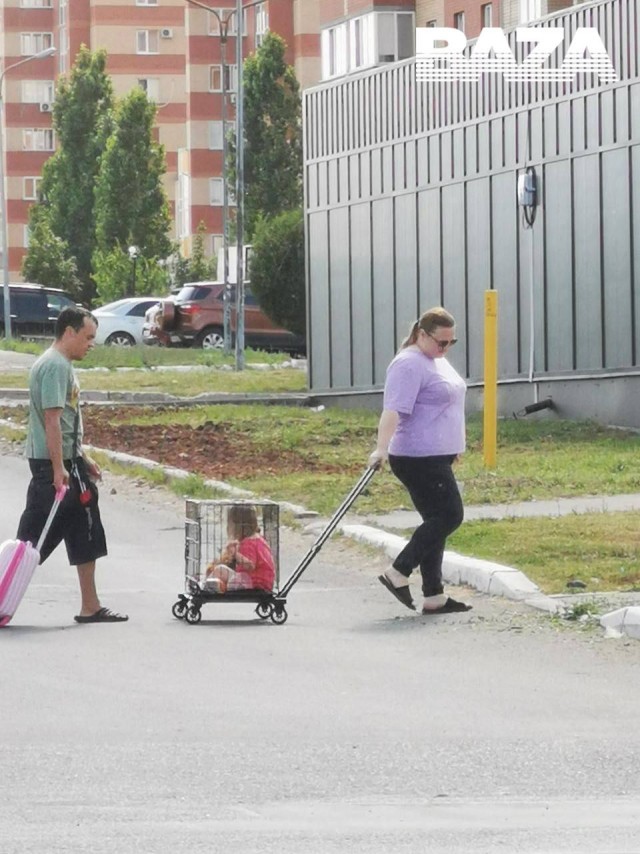В Оренбурге родители выгуливали ребенка в клетке на колесиках