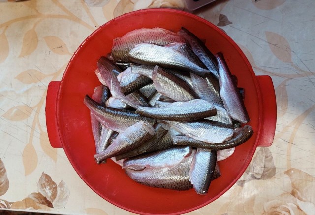 Вы рыбов продаёте? Нет, показываю