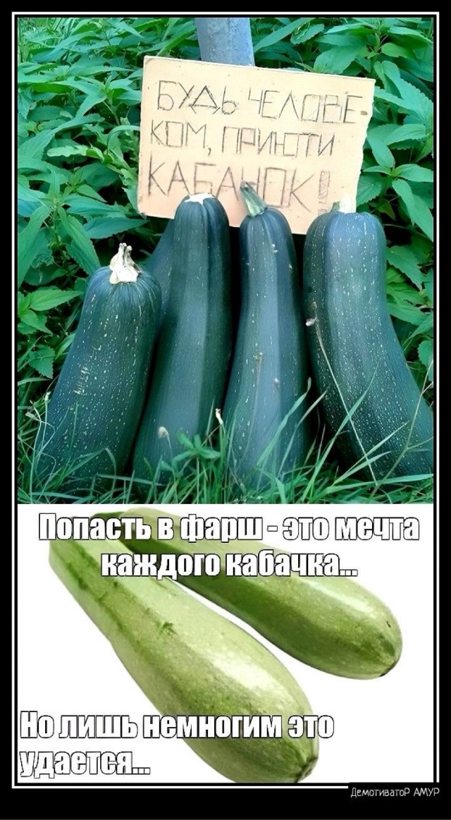 Началось!