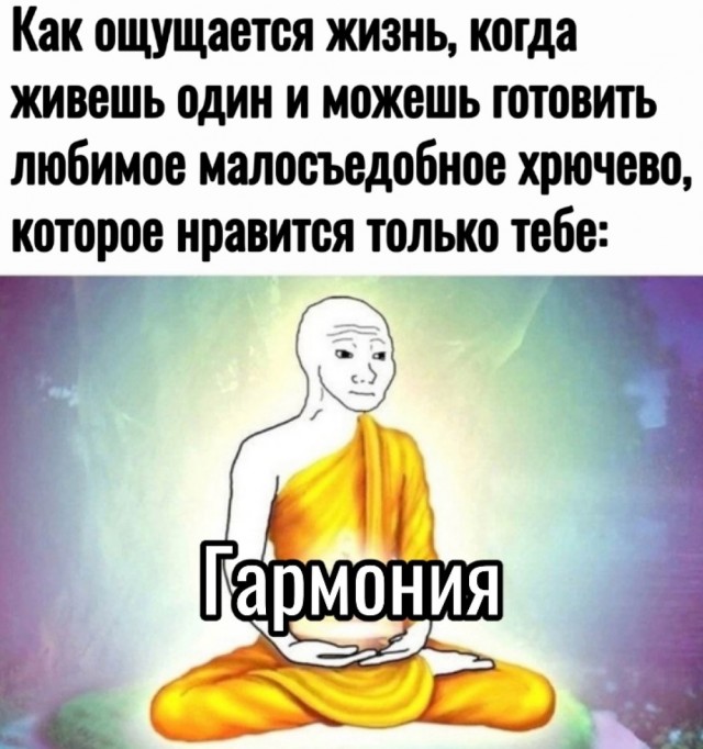 Весёлый полтишок 19.09.24
