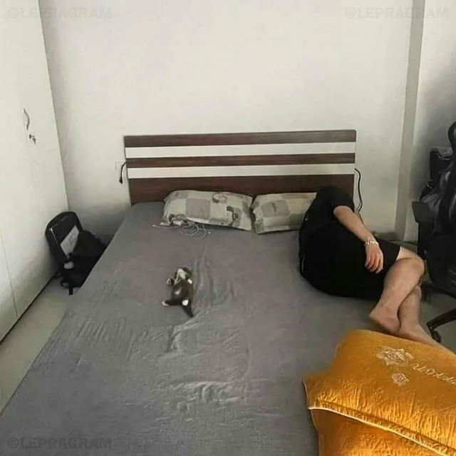 Жена, говорите?