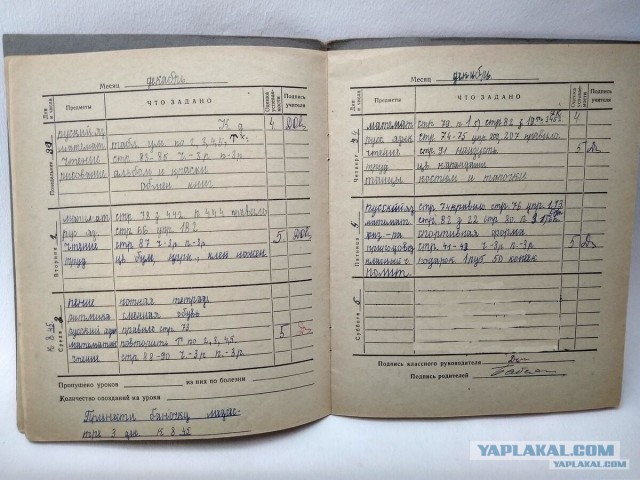 Ассоциативная жизнь