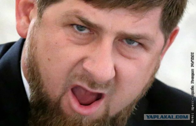 Не провоцируйте Кадырова, дон.
