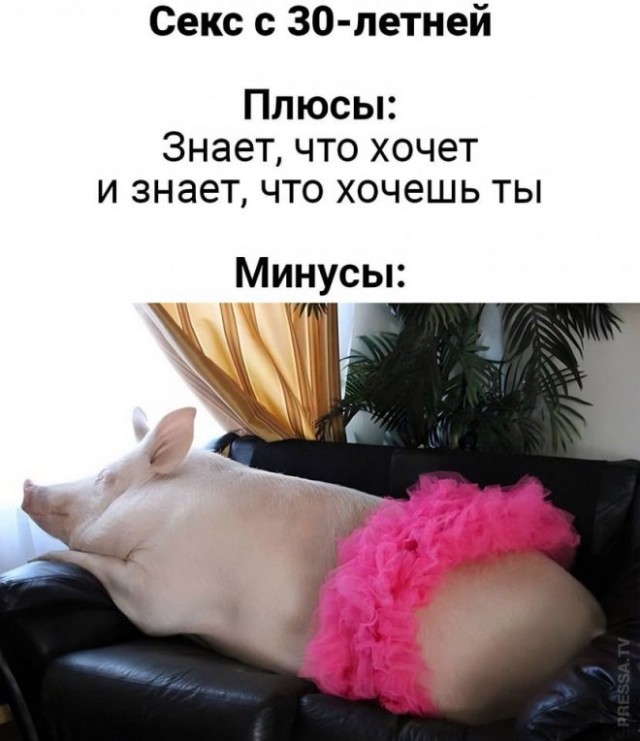 Веселые картинки в маленькую пятницу (26.03)