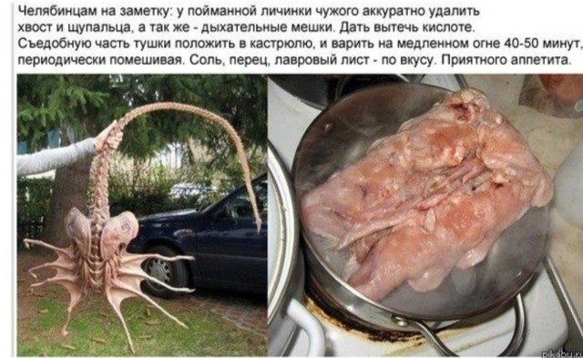 Подскажите, что за вид?