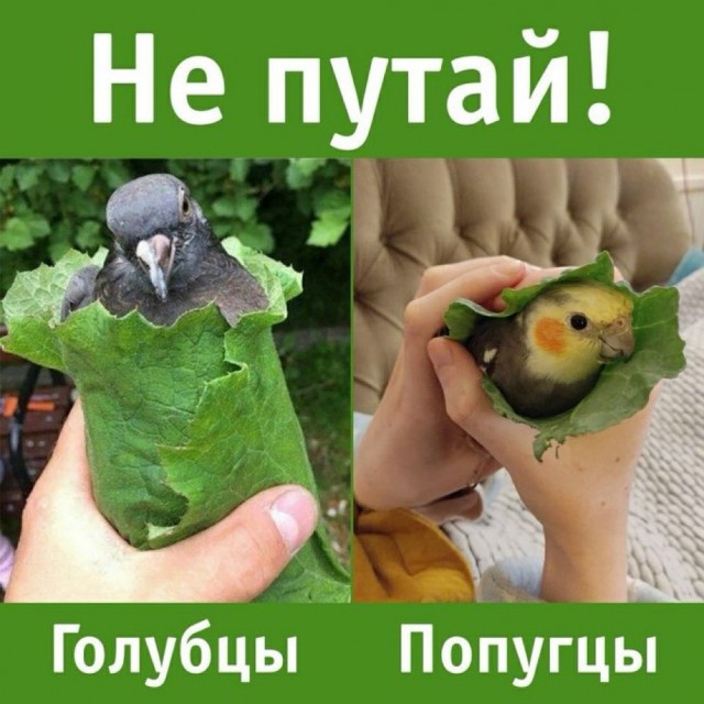Завалялось тут случайно немного забавных картинок