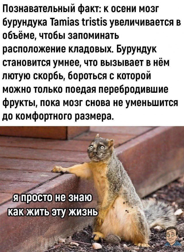 Прикольные и просто красивые картинки 18.07.2025