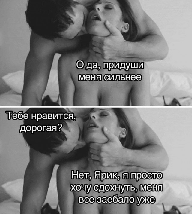 Отсутствие морально этических норм Vol.37