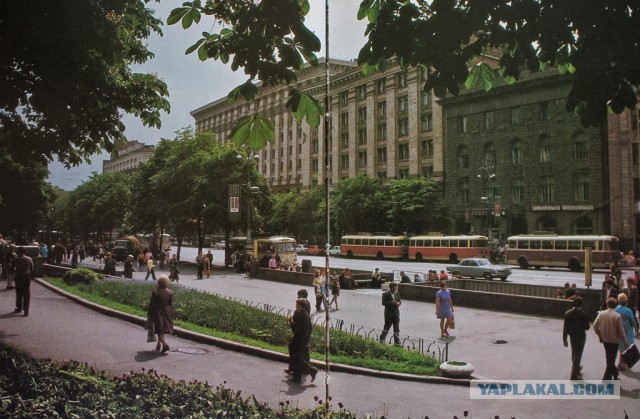 Самый массовый троллейбус мира