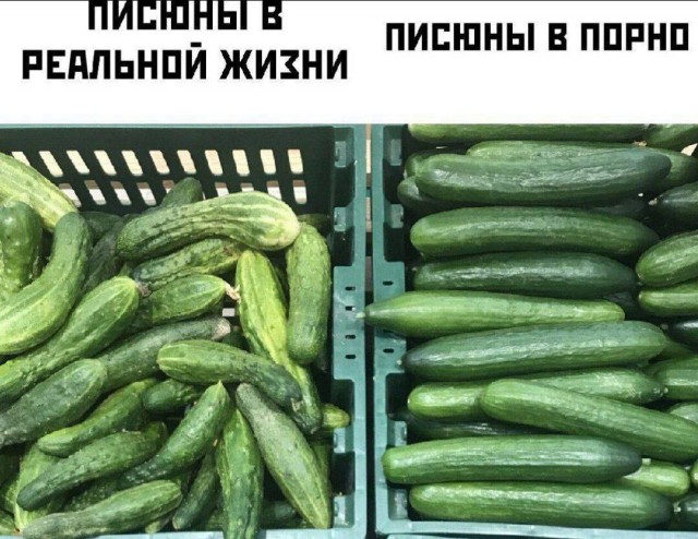 Забавные и не очень скромные картинки - 11