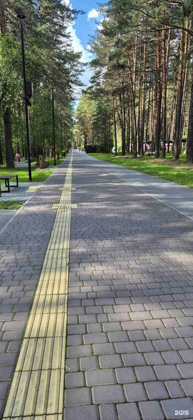 Велосипедисты и пешеходы