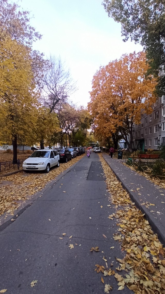 Вот и осень к нам пришла